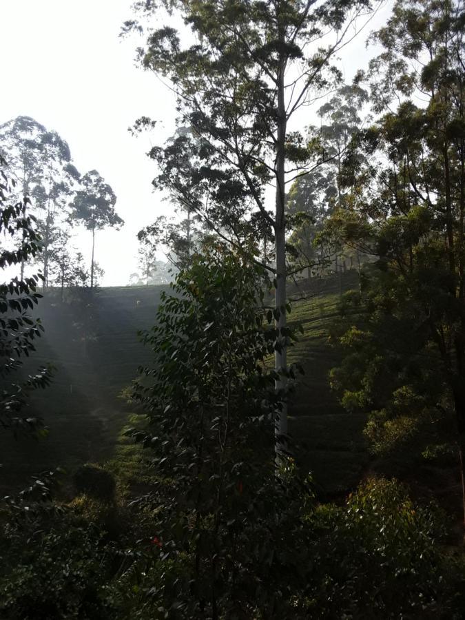 Lily Adam'S Peak Bed & Breakfast Nallathanniya Exterior foto